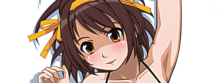 Haruhi Suzumiya hentai F00 – Light Novels